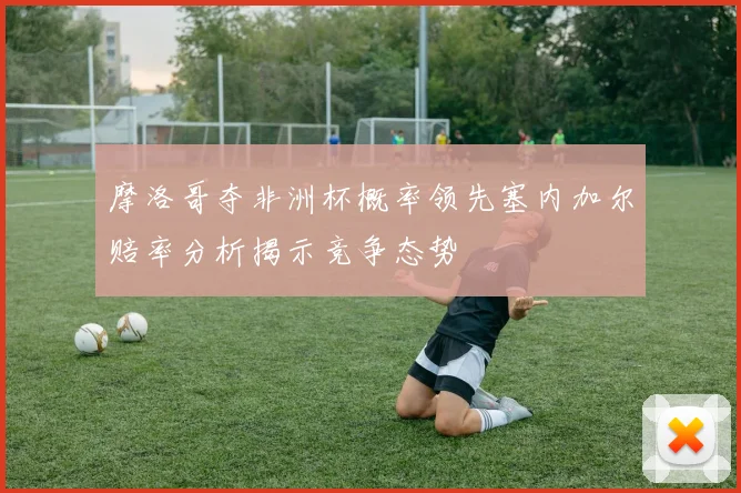 摩洛哥夺非洲杯概率领先塞内加尔赔率分析揭示竞争态势